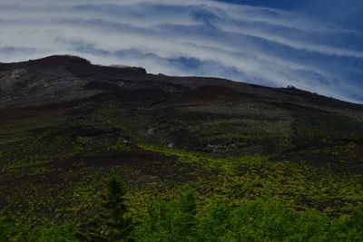 DSC_3647 (Large).JPG